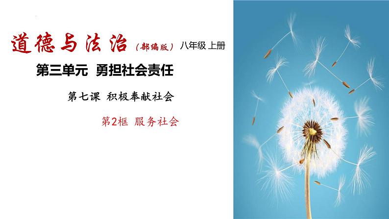 部编版八年级道德与法治上册课件--7.2 服务社会第1页