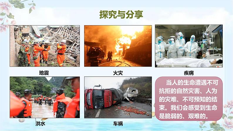 统编版 道德与法治 七年级上册 8.2 敬畏生命 课件()05