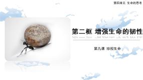 初中政治 (道德与法治)增强生命的韧性评优课ppt课件