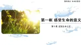 10.1 感受生命的意義-精品課件