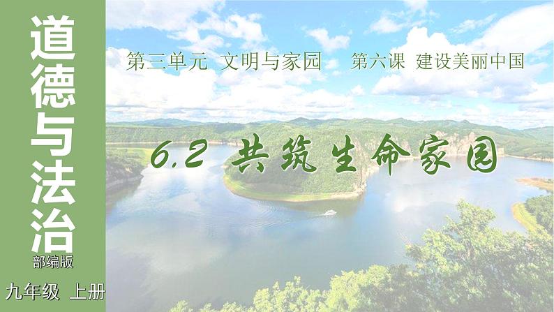 统编版道德与法治 九年级上册 同步课件 6.2 共筑生命家园 课件第5页