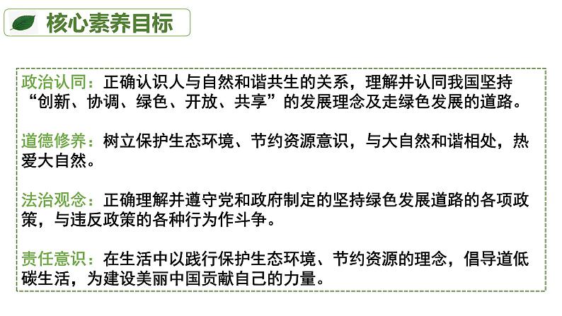 统编版道德与法治 九年级上册 同步课件 6.2 共筑生命家园 课件第6页