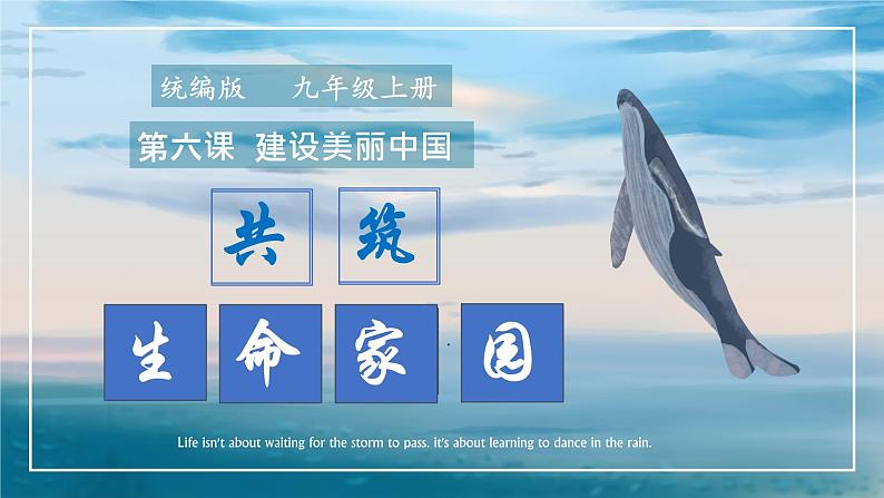 统编版道德与法治 九年级上册 同步课件 6.2共筑生命家园 (2)01