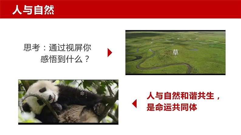 统编版道德与法治 九年级上册 同步课件 6.2共筑生命家园_2第1页