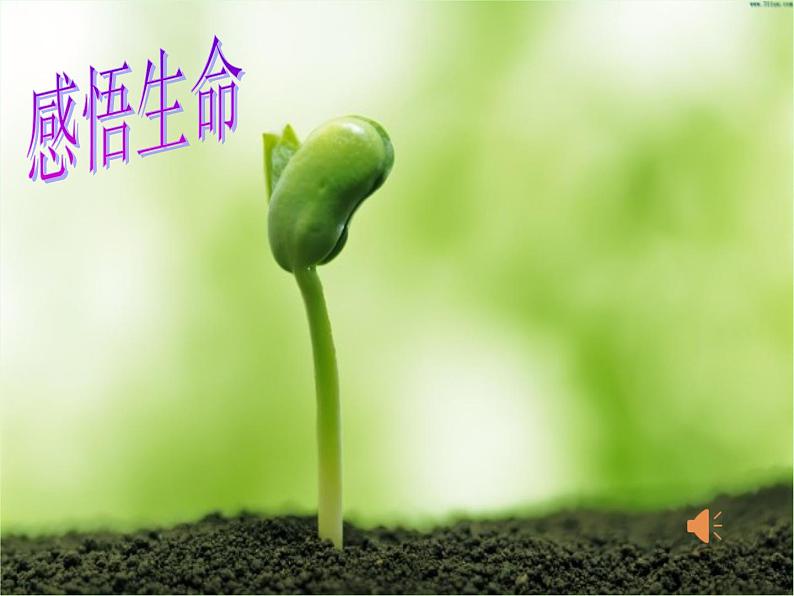 部编版七年级道德与法治上册--8.2敬畏生命(精品课件4)01