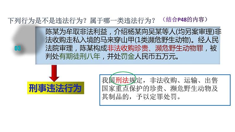 5.1 法不可违 课件第8页