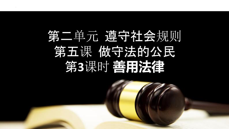 5.3 善用法律 课件-2022-2023学年部编版道德与法治八年级上册01