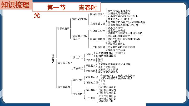 7.5 初中道德与法治 中考一轮复习第5课时七下一青春时光第2页