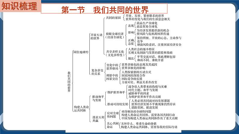 9.5 初中道德与法治 中考一轮复习第21课时九下一我国共同的世界第2页