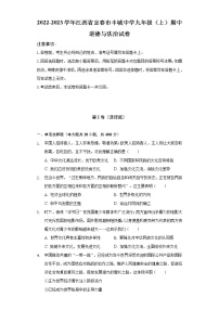 2022-2023学年江西省宜春市丰城中学九年级（上）期中道德与法治试卷（含解析）