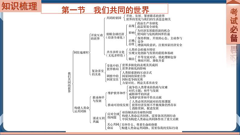 9.5 2022年初中道德与法治 中考一轮复习第21课时九下一我国共同的世界第2页