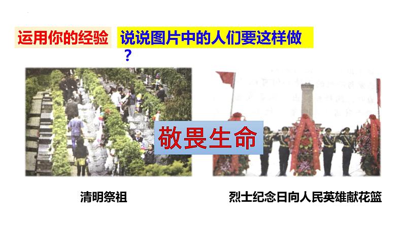 8.2敬畏生命课件第1页