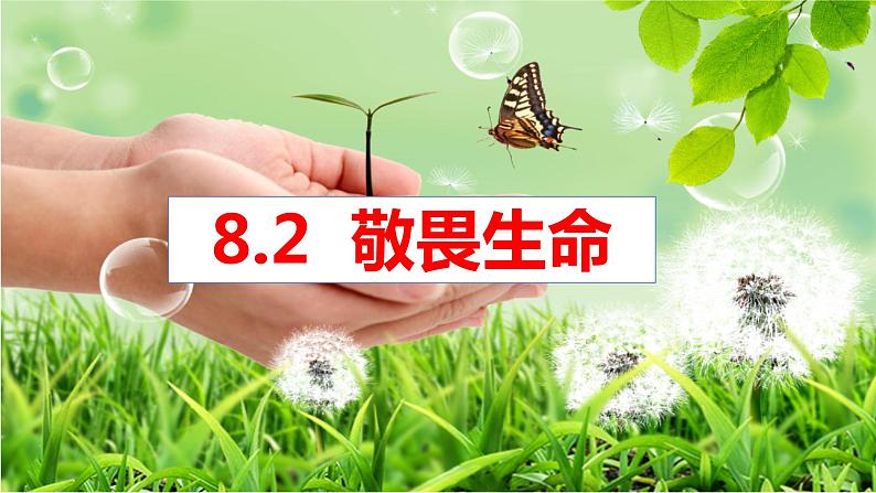 8.2敬畏生命课件第2页