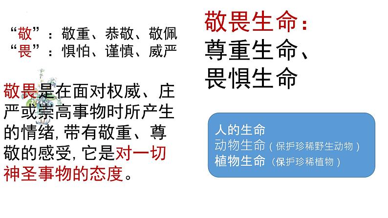 8.2敬畏生命课件第5页