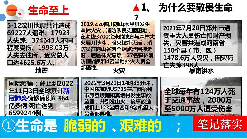 8.2敬畏生命课件第6页