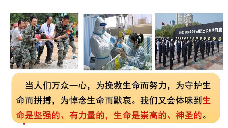 8.2敬畏生命课件第7页