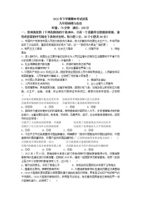 湖南省武冈市2022-2023学年九年级上学期期中道德与法治试题（含答案）