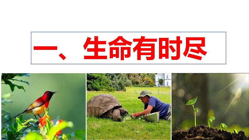 统编版道德与法治初中七年级上册同步课件 8.1 生命可以永恒吗 课件04