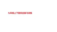九年级上下册综合复习训练 课件-2022年中考道德与法治一轮复习