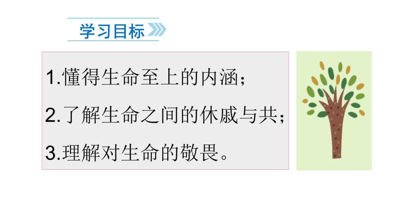 8.2  敬畏生命 课件 -2022-2023学年部编版道德与法治七年级上册02