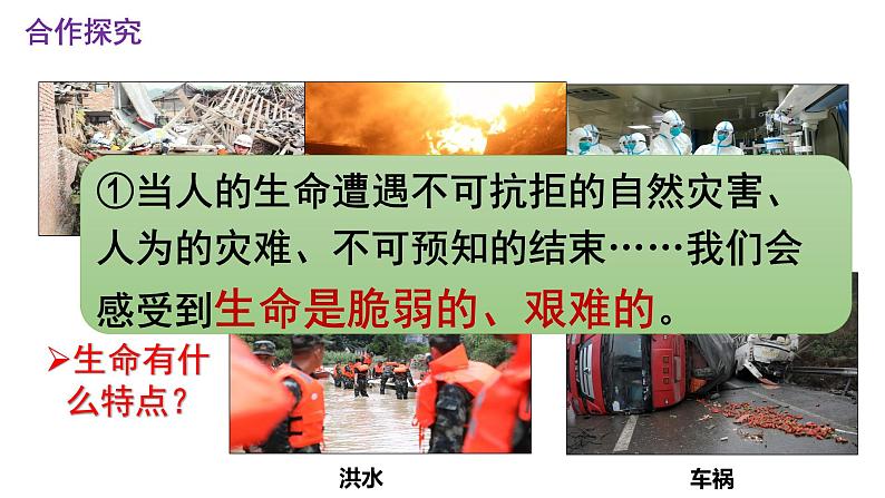 8.2 敬畏生命 课件 -2022-2023学年部编版道德与法治七年级上册第6页
