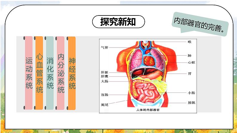 部编版道德法治七下第一课 悄悄变化的我 课件第8页