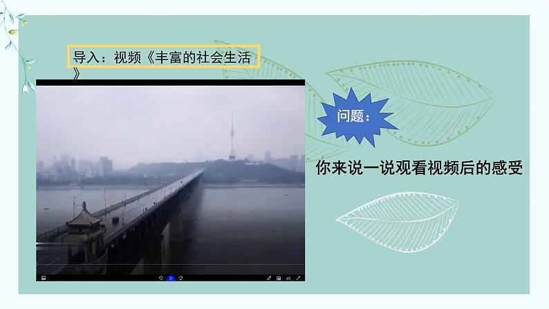 道德与法治八年级上册丰富的社会生活课件+教案02