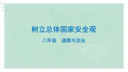 道德与法治八年级上册同步课件 树立总体国家安全观（终）