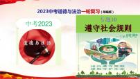 中考道德与法治一轮复习精品课件+模拟测试  专题10  遵守社会规则（模拟测试）