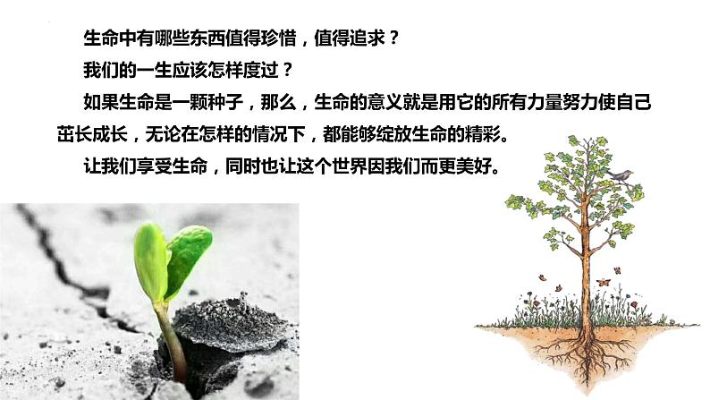 10.1感受生命的意义(课件)-2022-2023学年七年级道德与法治上册配套课件+导学案+教案(部编版)01