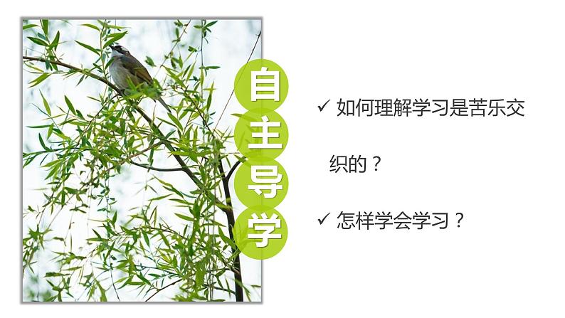 2.2享受学习(课件+教案+视频)-【备课帮】2022-2023学年道德与法治上册高效备课精优课件+教案.102