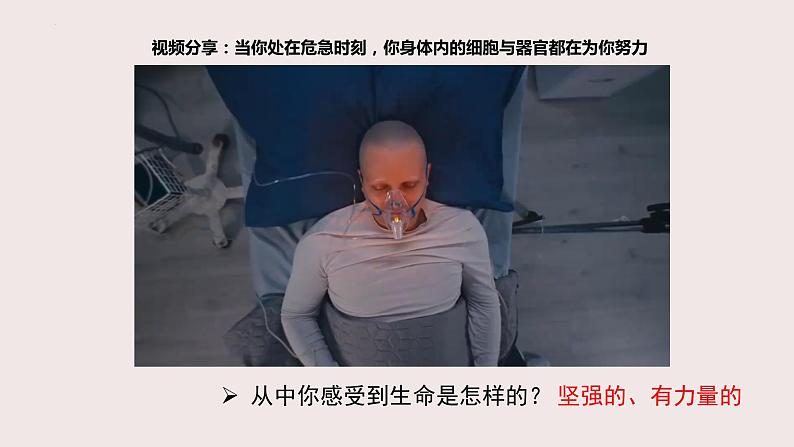 8.2敬畏生命(课件+教案+视频)-【备课帮】2022-2023学年七年级道德与法治上册高效备课精优课件+教案08