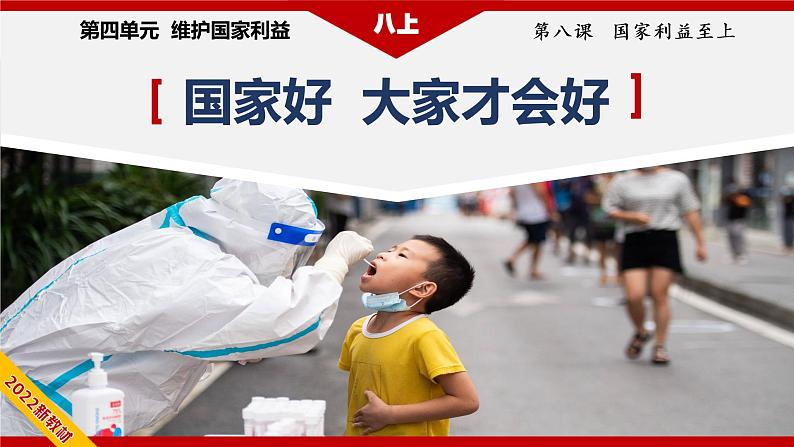 8.1国家好大家才会好(教学课件)八年级道德与法治上册同步备课系列(部编版)04