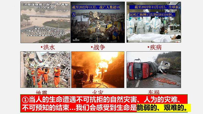 精编七年级道德与法治上册同步备课系列(部编版)8.2敬畏生命(精编课件+教案+学案+分层练习)08