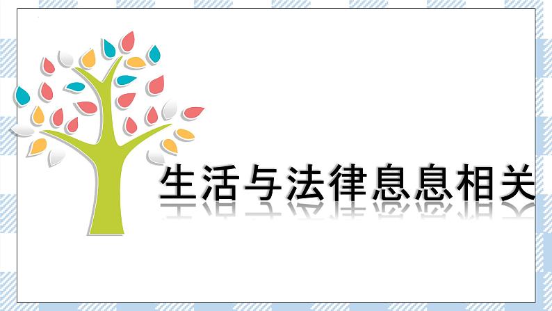 9.1 生活需要法律 (课件+素材)05