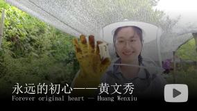 初中政治 (道德与法治)人教部编版七年级上册第四单元  生命的思考第八课 探问生命生命可以永恒吗获奖ppt课件