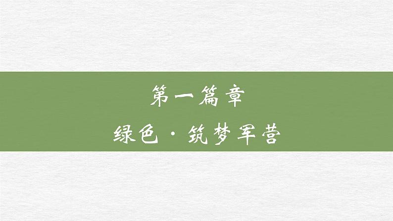 维护国家安全(王伟版)课件PPT05