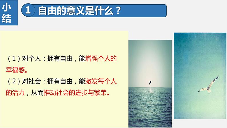部编版八年级道德与法治下册课件 7.1自由平等的真谛07