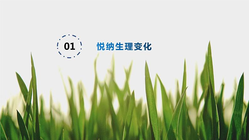 部编版七年级道德与法治--1.1悄悄变化的我(课件1)第4页