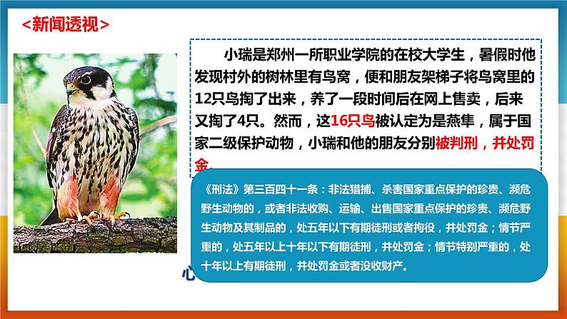 10.2 我们与法律同行 课件第1页