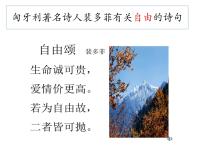 政治 (道德與法治)自由平等的真諦教學(xué)ppt課件