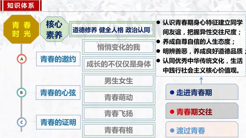 2023年部编版七年级道德与法治下册1.1悄悄变化的我  课件（含视频）+同步练习含解析卷03