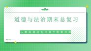 七年级下册期末总复习（复习课件）