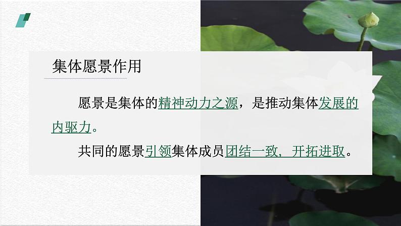 2023年部编版道德与法治七年级下册8.1 憧憬美好集体 课件第8页