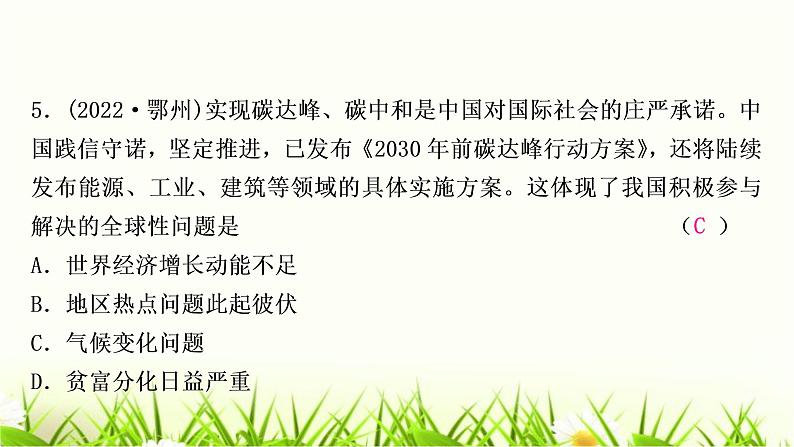 中考道德与法治复习九年级下册第一单元我们共同的世界作业课件第6页