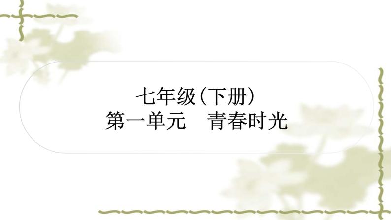 中考道德与法治复习七年级下册第一单元青春时光教学课件01