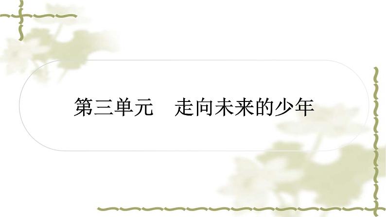 中考道德与法治复习九年级下册第三单元走向未来的少年教学课件第1页