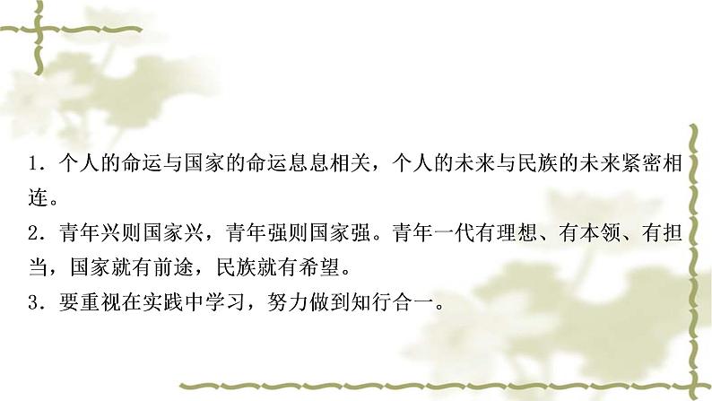 中考道德与法治复习九年级下册第三单元走向未来的少年教学课件第4页