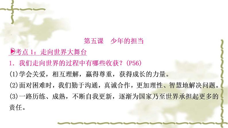 中考道德与法治复习九年级下册第三单元走向未来的少年教学课件第7页