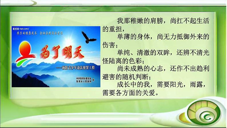 部编版七年级道德与法治下册--10.1法律为我们护航(课件1)02